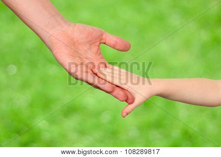 A Father  Holds The Hand Of A Small Child On A Green Background
