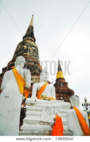 รูปปั้น budha