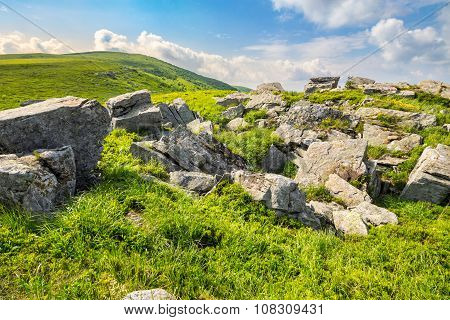 Boulders On The Mountain Meadow