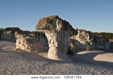 Bulgaria. Stone Mushrooms