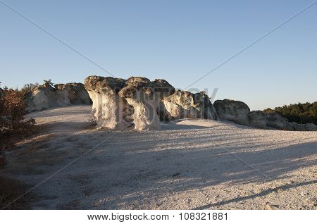 Bulgaria. Stone Mushrooms