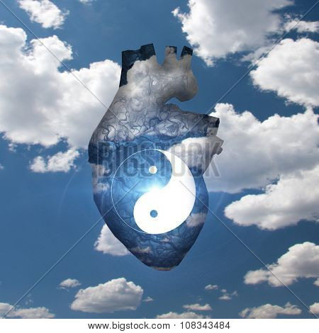 Yin Yang Heart