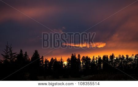 Cypress Hills Sunset