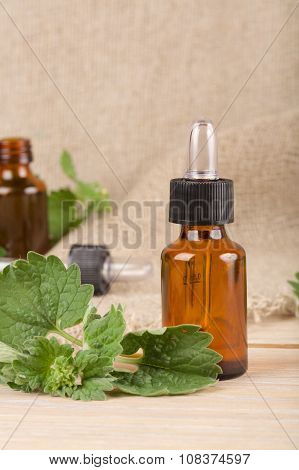 Melissa Essential Oil