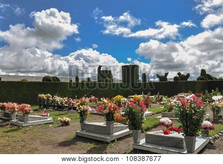 Topiary Cemetery From Tulcan, Carchi, Ecuador