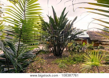 Close Up Of An Ecological Loge