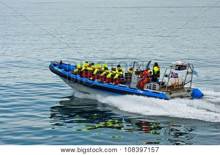Whale watching tour from fast zodiac boat near Husavik
