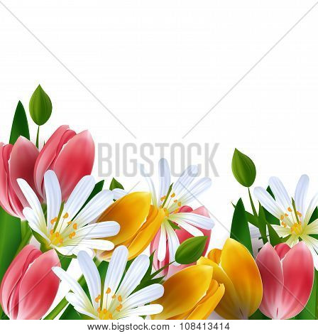 Floral Background. Daisies And Tulips.