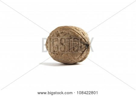 Walnut on white background