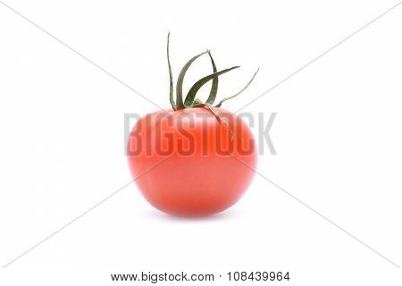 Tomato On White Background