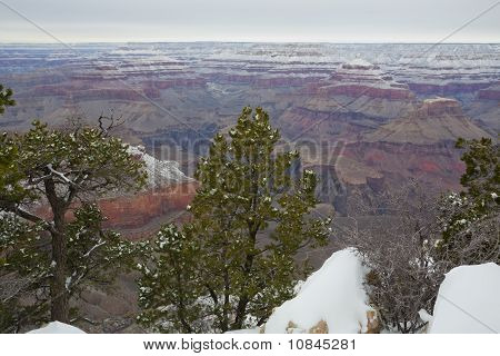 Grand Canyon in Winter at Yavapai Point, AZ