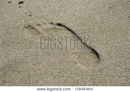 砂の足跡