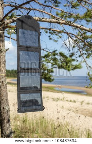 Portable Foldable Solar Panel Battery Hanging On The Outdoors On A Pine Tree