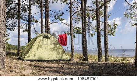 Tent Stands In A Pine Forest On The Sea Shore Near The Sandy Beach