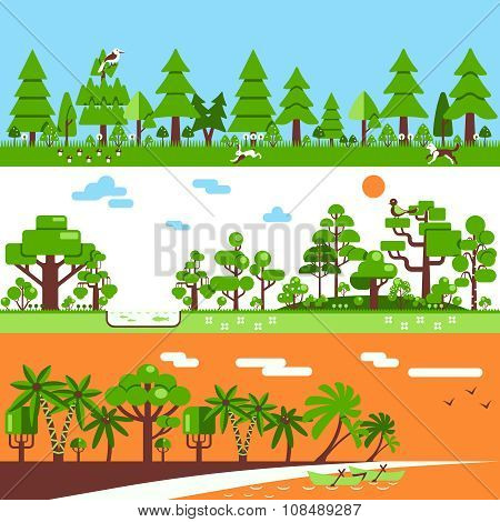 Coniferous Deciduous Tropical Forest Banners