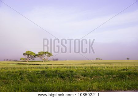 Landscape in Argentina