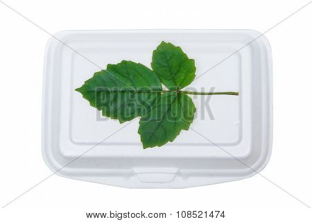 a green leave on foam food box