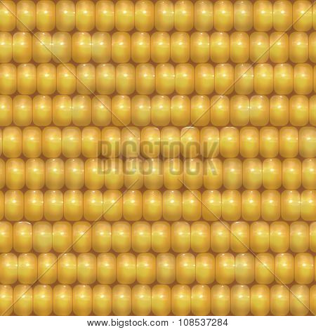 Corn Pattern