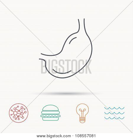 Stomach icon. Gastroscopy health sign.