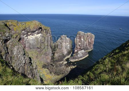 Sea stacks, Eyemouth