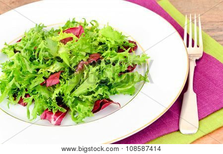 Salad Mix Batavian, Frise, Radicchio, Chicory and Dietary Mel.