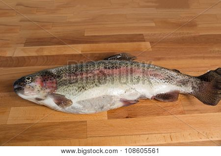 Fresh salmon of Mediterranean cooking