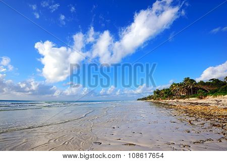 Beautiful Coast Diani