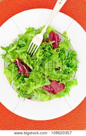 Salad Mix Batavian, Frise, Radicchio, Chicory