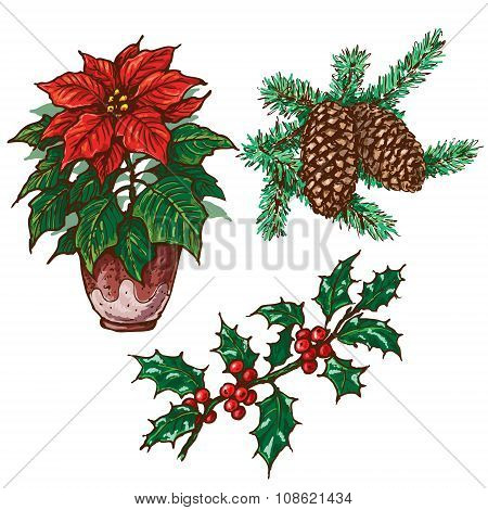 Christmas Plants Set