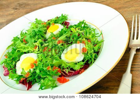 Salad Mix Batavian, Frise, Radicchio, Chicory, Dietary Mel