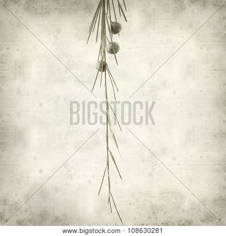 Textured Old Paper Background