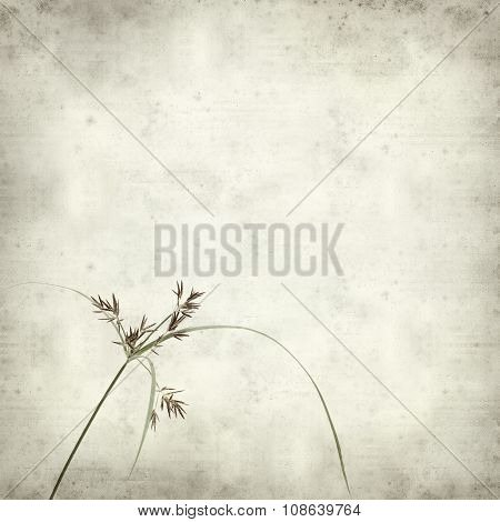 Textured Old Paper Background