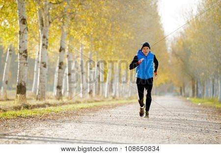 Sport Man Running Outdoors In Off Road Trail Ground With Trees Under Beautiful Autumn Sunlight