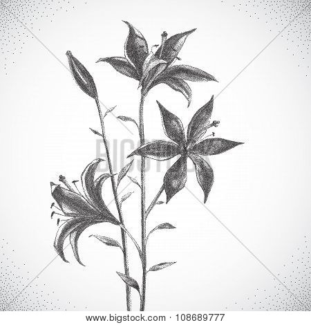 Flower. Black and white Dotwork