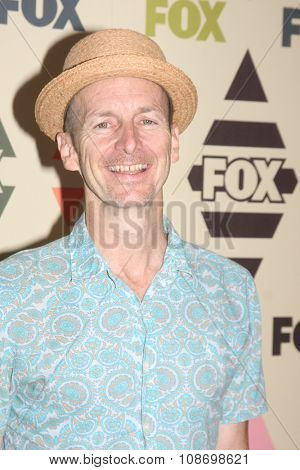 LOS ANGELES - AUG 6:  Denis O'Hare at the FOX TCA Summer 2015 All-Star Party at the Soho House on August 6, 2015 in West Hollywood, CA
