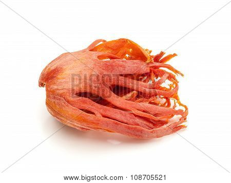 Macro closeup of a Organic Mace.