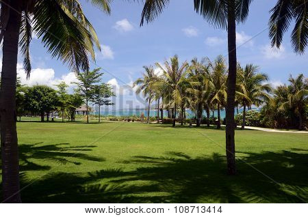 Park At The Beach