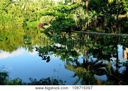 Pond In The Park Hotel, Yalong Bay Mangrove Tree, China, Hainan, Sania