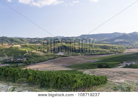 Vineyards In Oltrepo Pavese (italy)