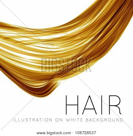 Closeup of long human hair