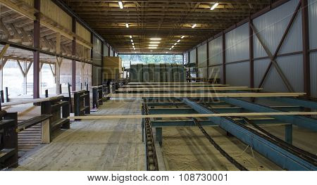 Cut Wood Planks On Conveyor In Sawmill