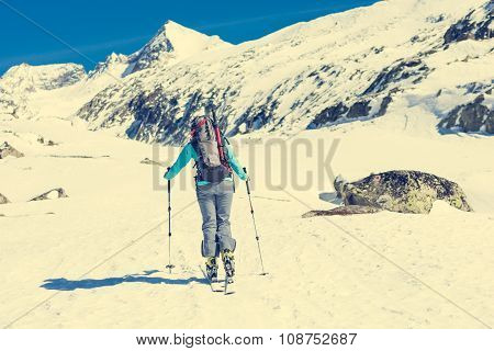 Ski touring in sunny weather.