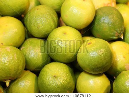 Bergamia Citrus Or Green  Bergamot  For Sale To The Greengrocery