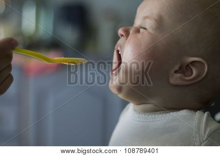 Hungry Baby And The Spoon