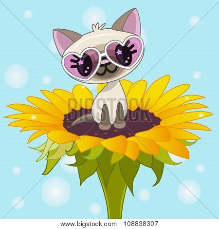 ?artoon Cat