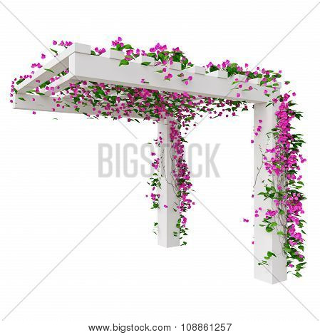 Ivy with flowers plant