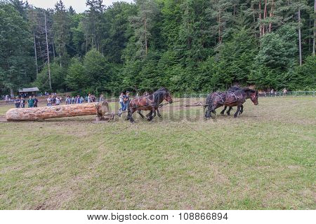 Horse-drawn Vehicles