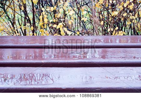 Wooden Bench Close-up With Puddles After A Rain