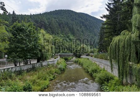 View toward river with bridge and highly varied plant