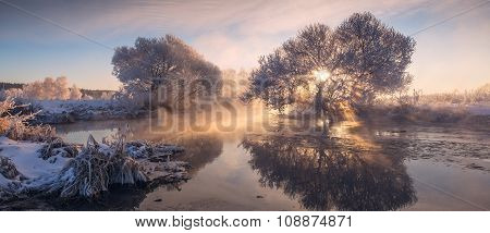 Foggy sunrise